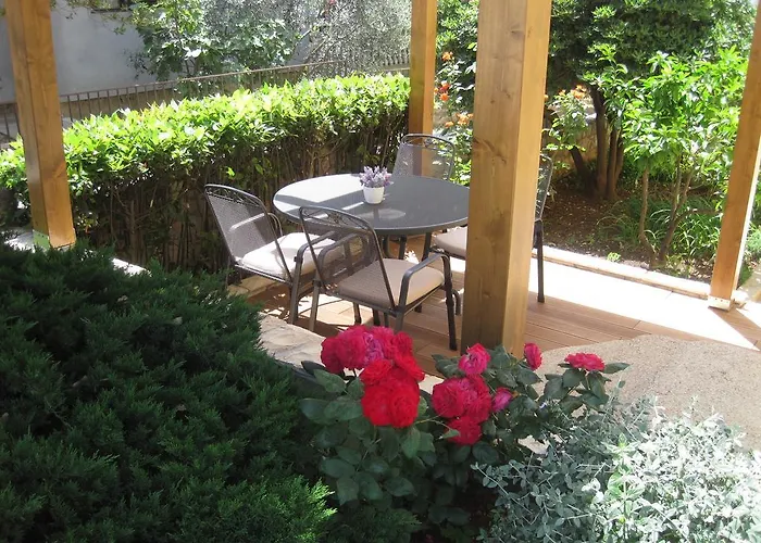 Violet דירה זאדאר