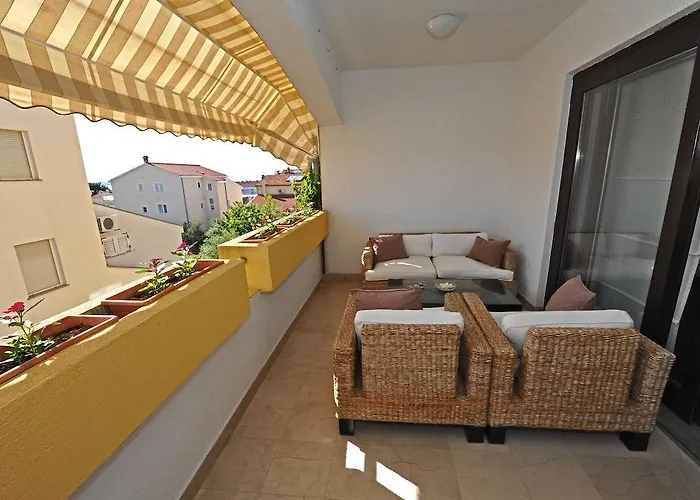 Violet דירה זאדאר