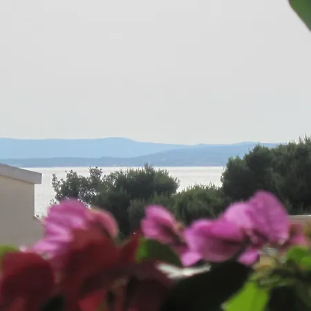 紫色别墅公寓 公寓 *