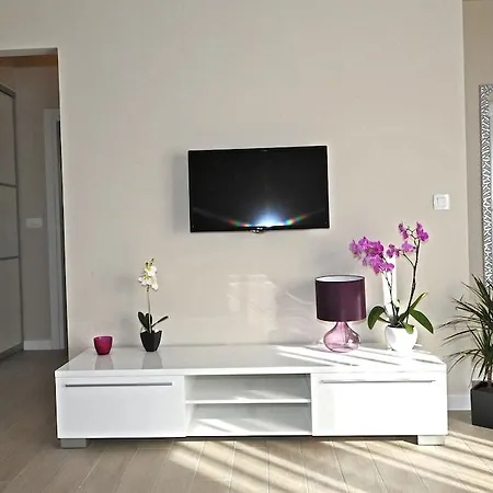 Apartment Violet